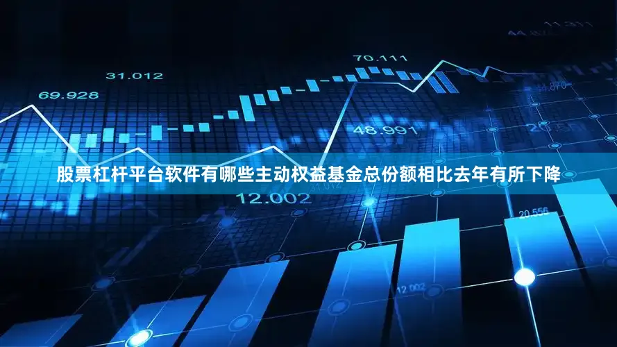 股票杠杆平台软件有哪些主动权益基金总份额相比去年有所下降